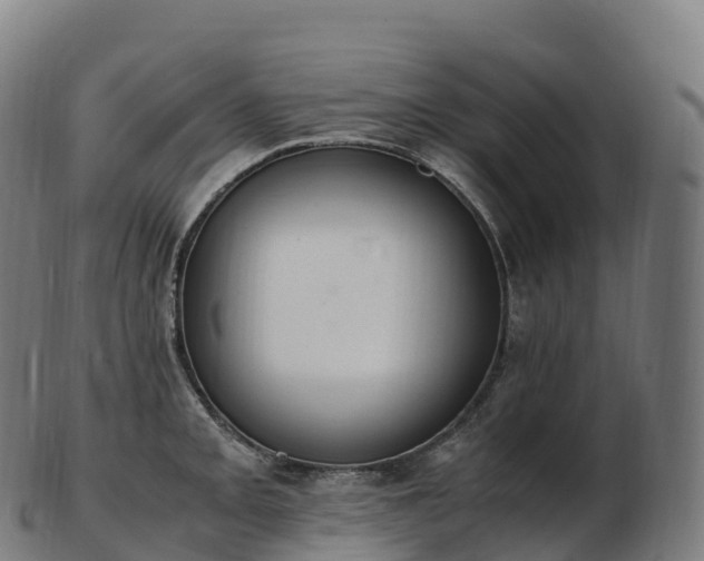 X0000103331093200809121205