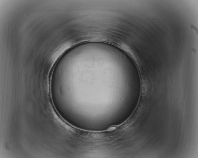 X0000103331095200809121205