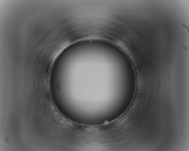 X0000103331097200809121205