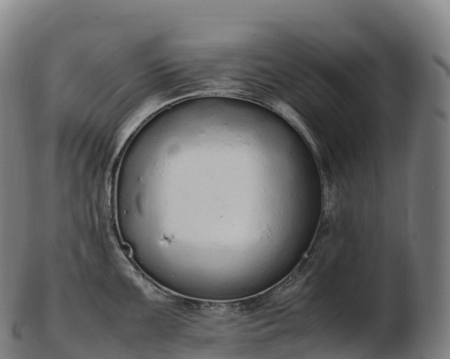 X0000103331099200809121205