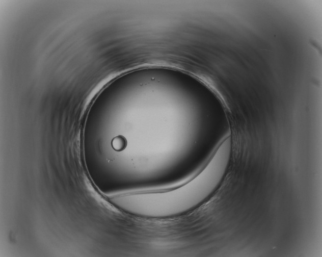 X0000103331100200809121205