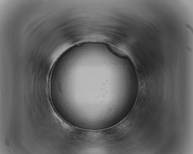 X0000103331103200809121204