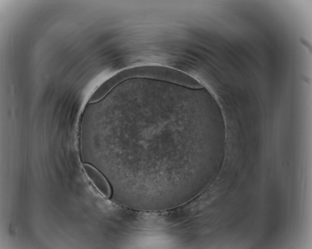 X0000103331104200809121204