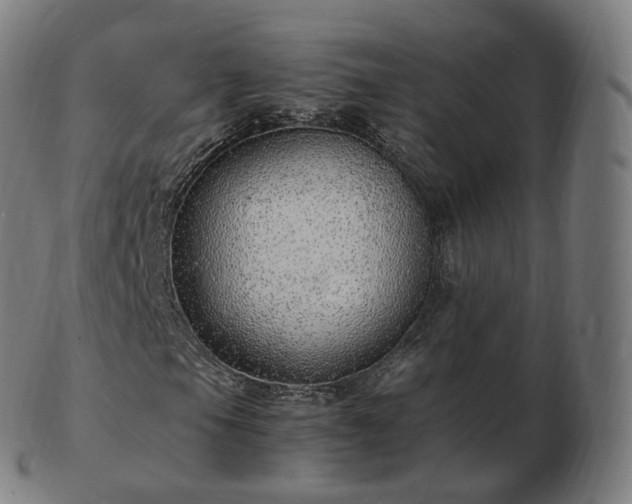 X0000103331105200809121204