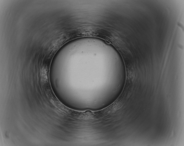 X0000103331106200809121204