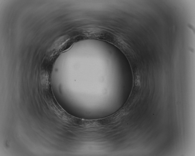 X0000103331108200809121204