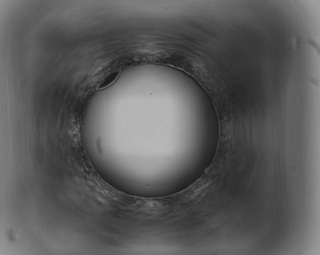 X0000103331109200809121204