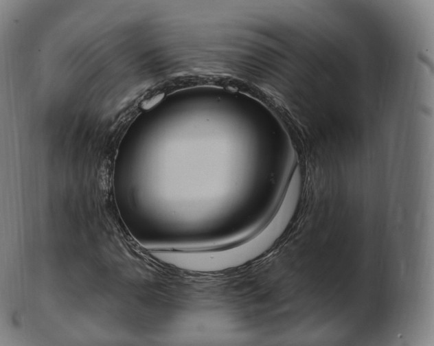 X0000103331110200809121204