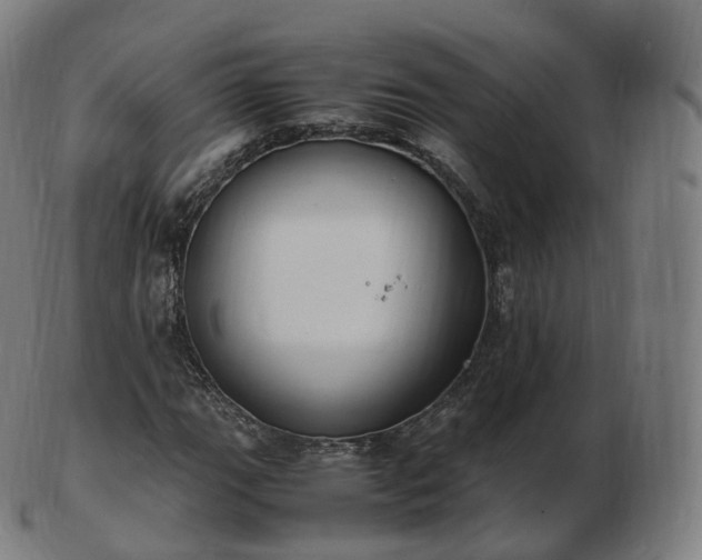 X0000103331111200809121204