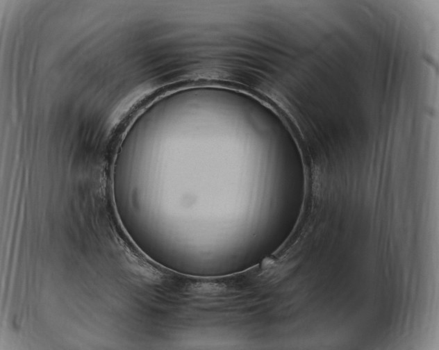 X0000103331115200809121204