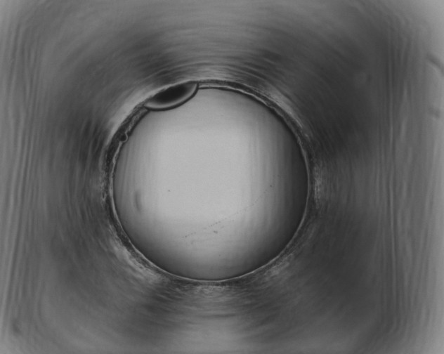 X0000103331116200809121204