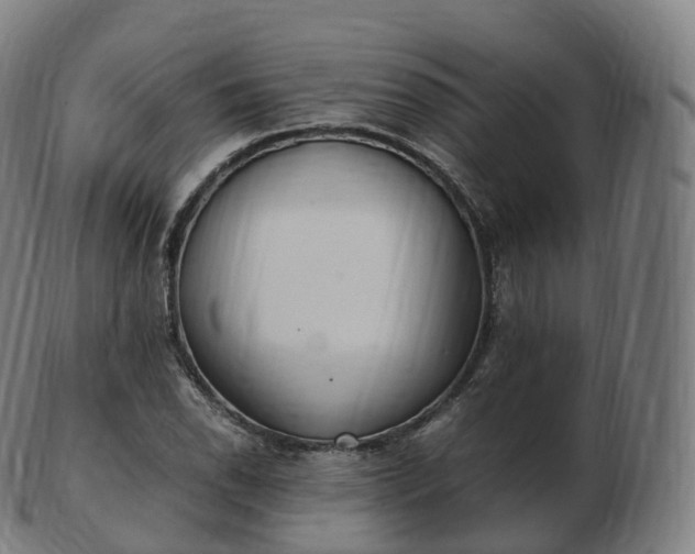 X0000103331118200809121204