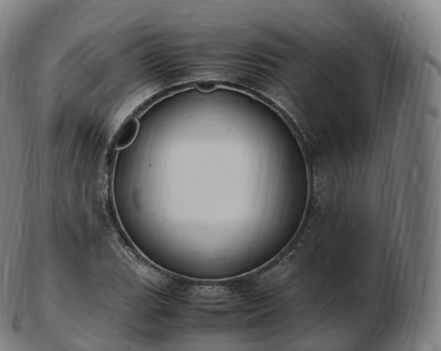 X0000103331119200809121204