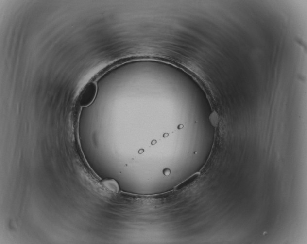 X0000103331120200809121204