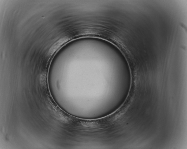 X0000103331121200809121204