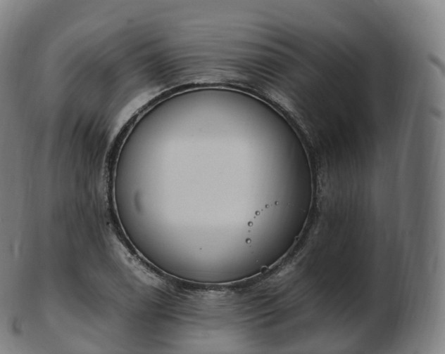 X0000103331122200809121204