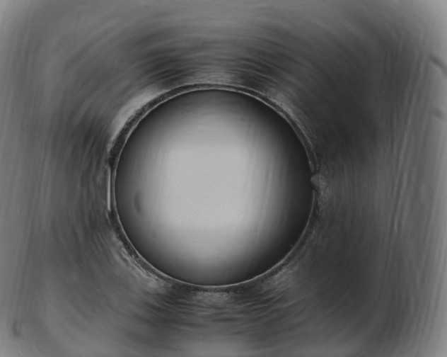 X0000103331123200809121204