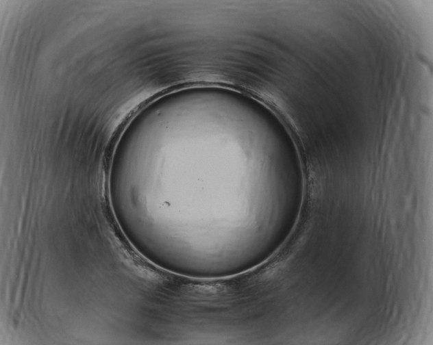 X0000103331125200809121204