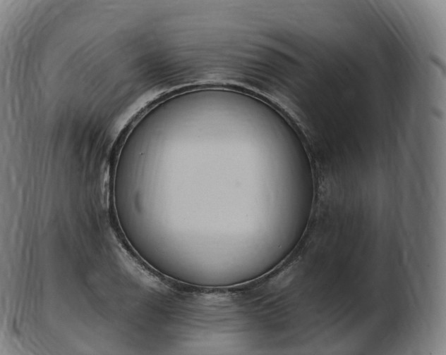 X0000103331126200809121204