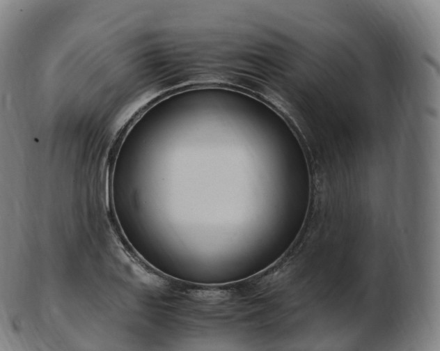 X0000103331127200809121204