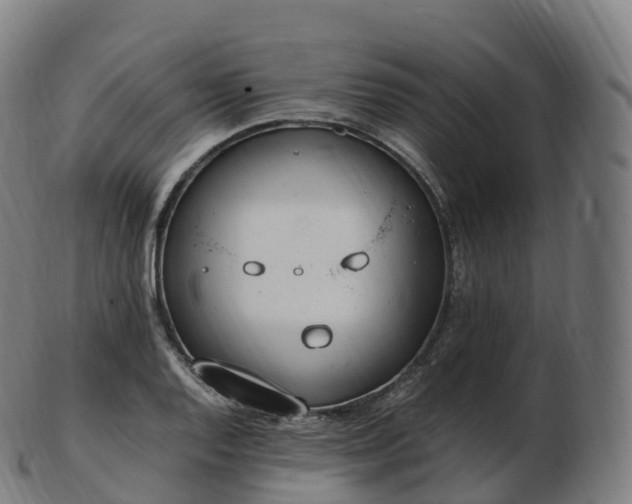 X0000103331128200809121204