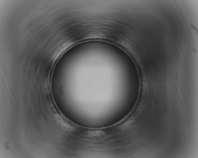 X0000103331129200809121204