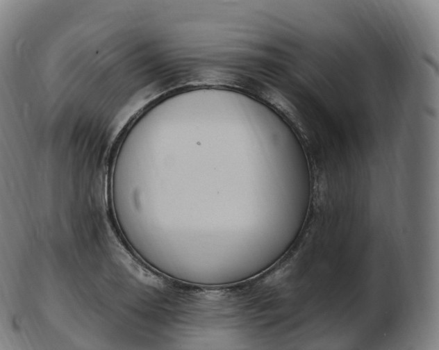 X0000103331130200809121204