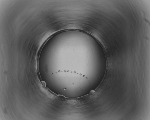 X0000103331132200809121204