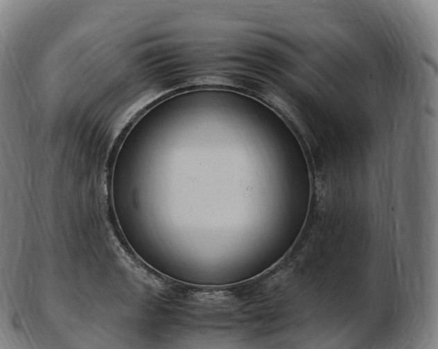 X0000103331133200809121204