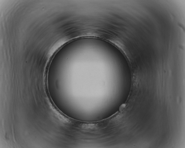 X0000103331135200809121204