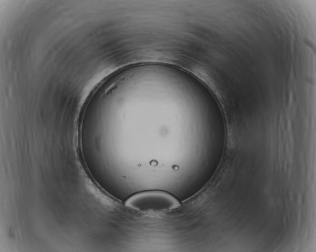 X0000103331136200809121204