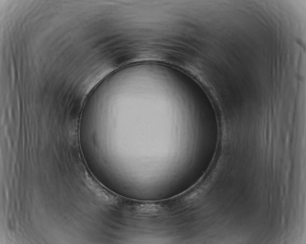 X0000103331137200809121204