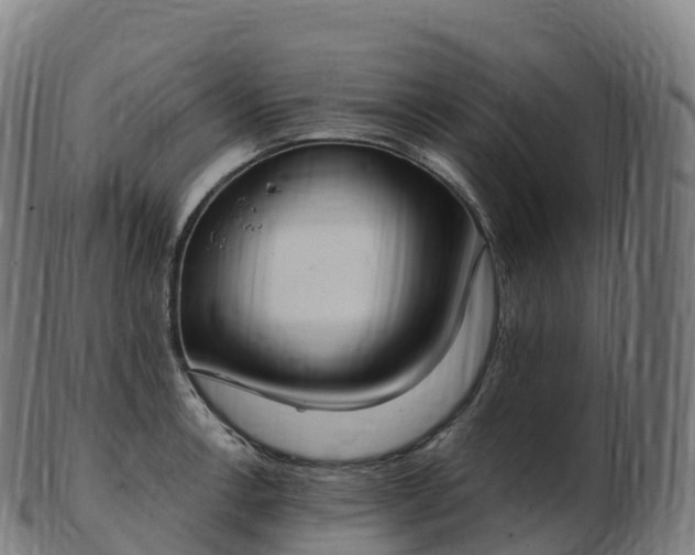 X0000103331138200809121204