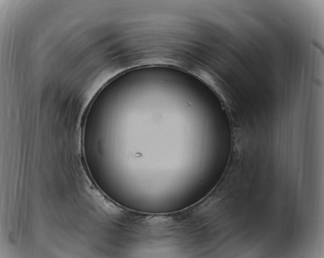 X0000103331140200809121204