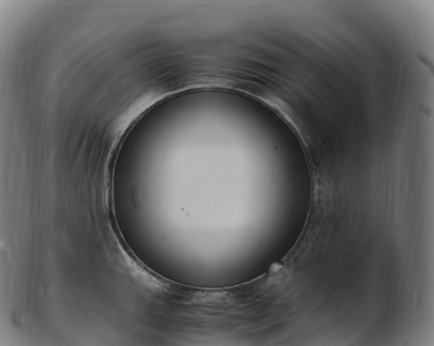 X0000103331143200809121204