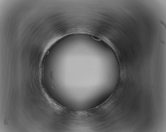 X0000103331144200809121204