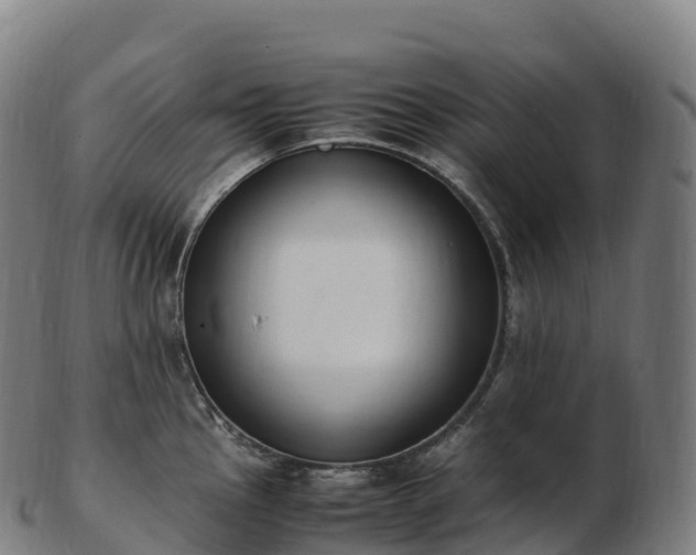 X0000103331145200809121204