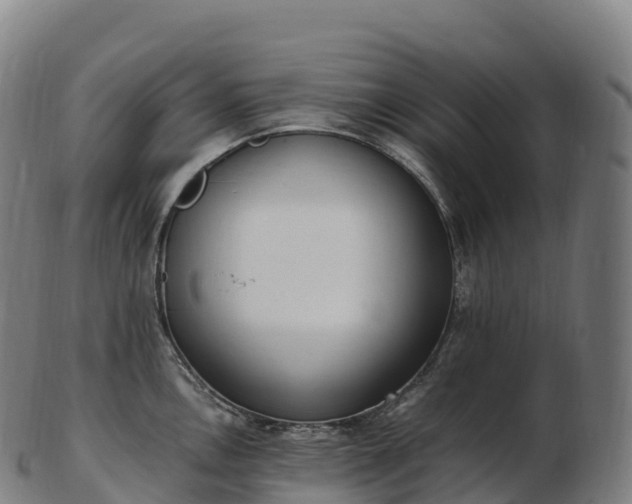 X0000103331146200809121204