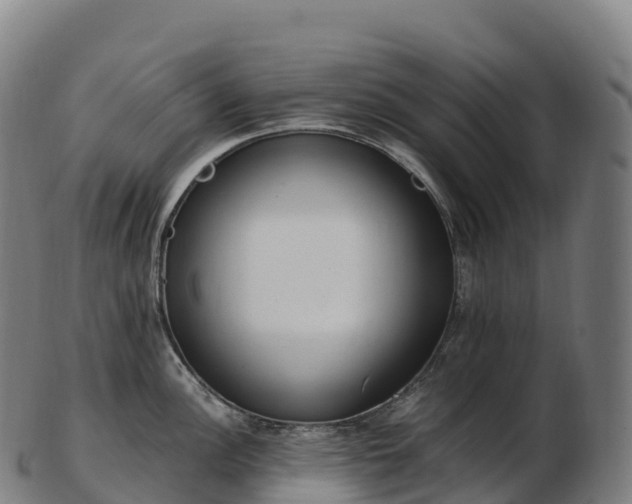 X0000103331148200809121204