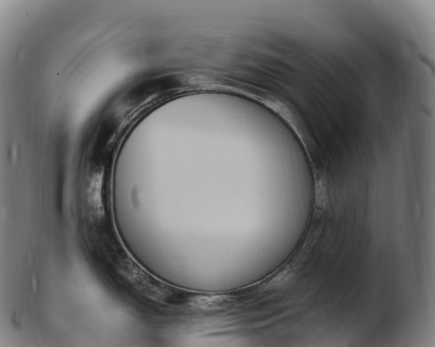 X0000103331150200809121204