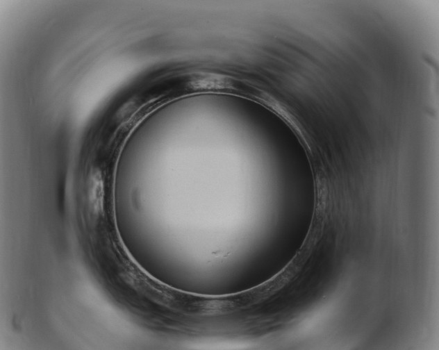 X0000103331151200809121204