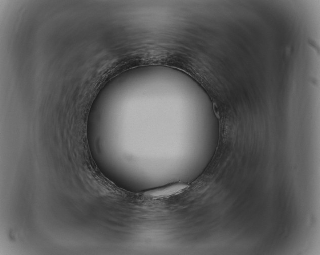 X0000103331153200809121204