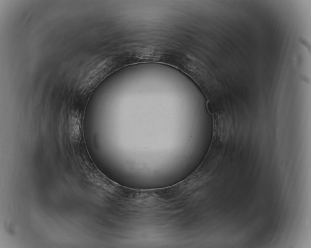 X0000103331154200809121204