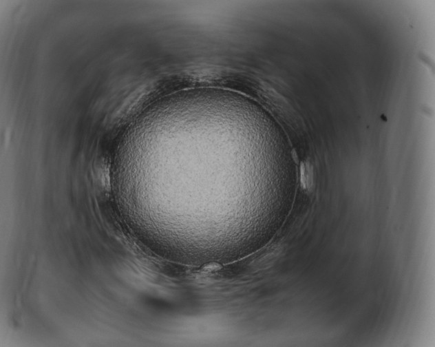 X0000103331155200809121204