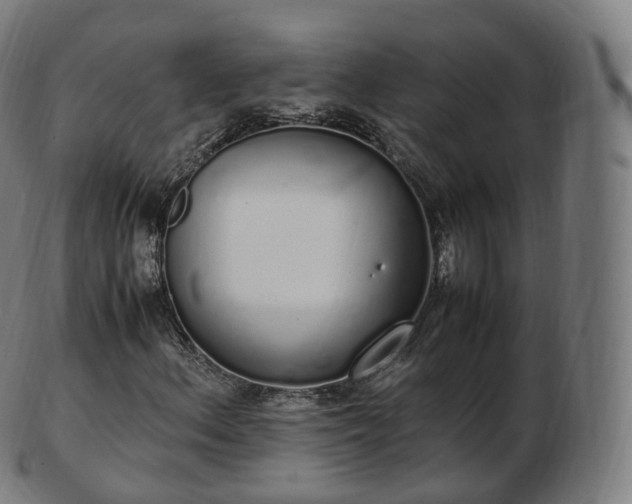 X0000103331156200809121204