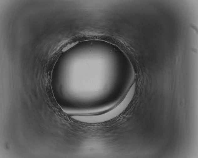 X0000103331157200809121204