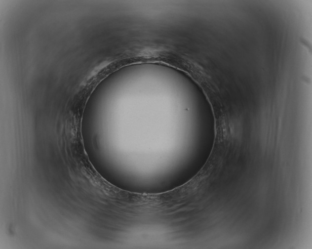 X0000103331158200809121204