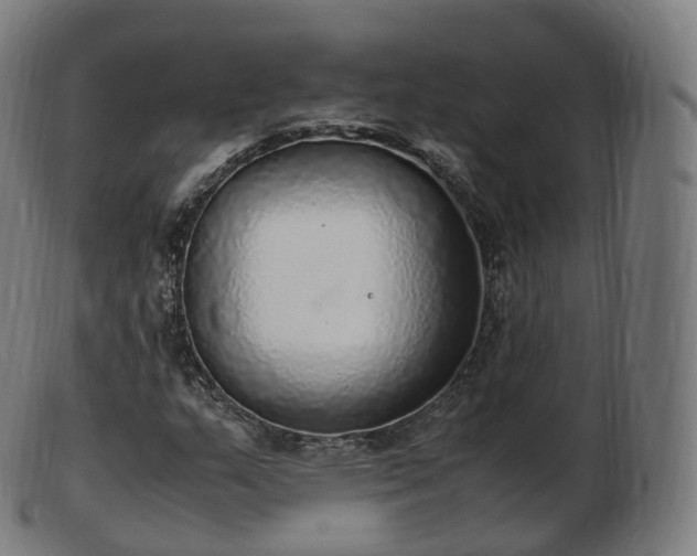 X0000103331159200809121204