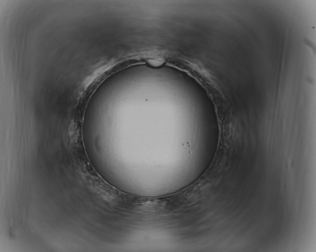 X0000103331160200809121204