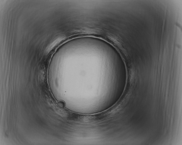 X0000103331163200809121204